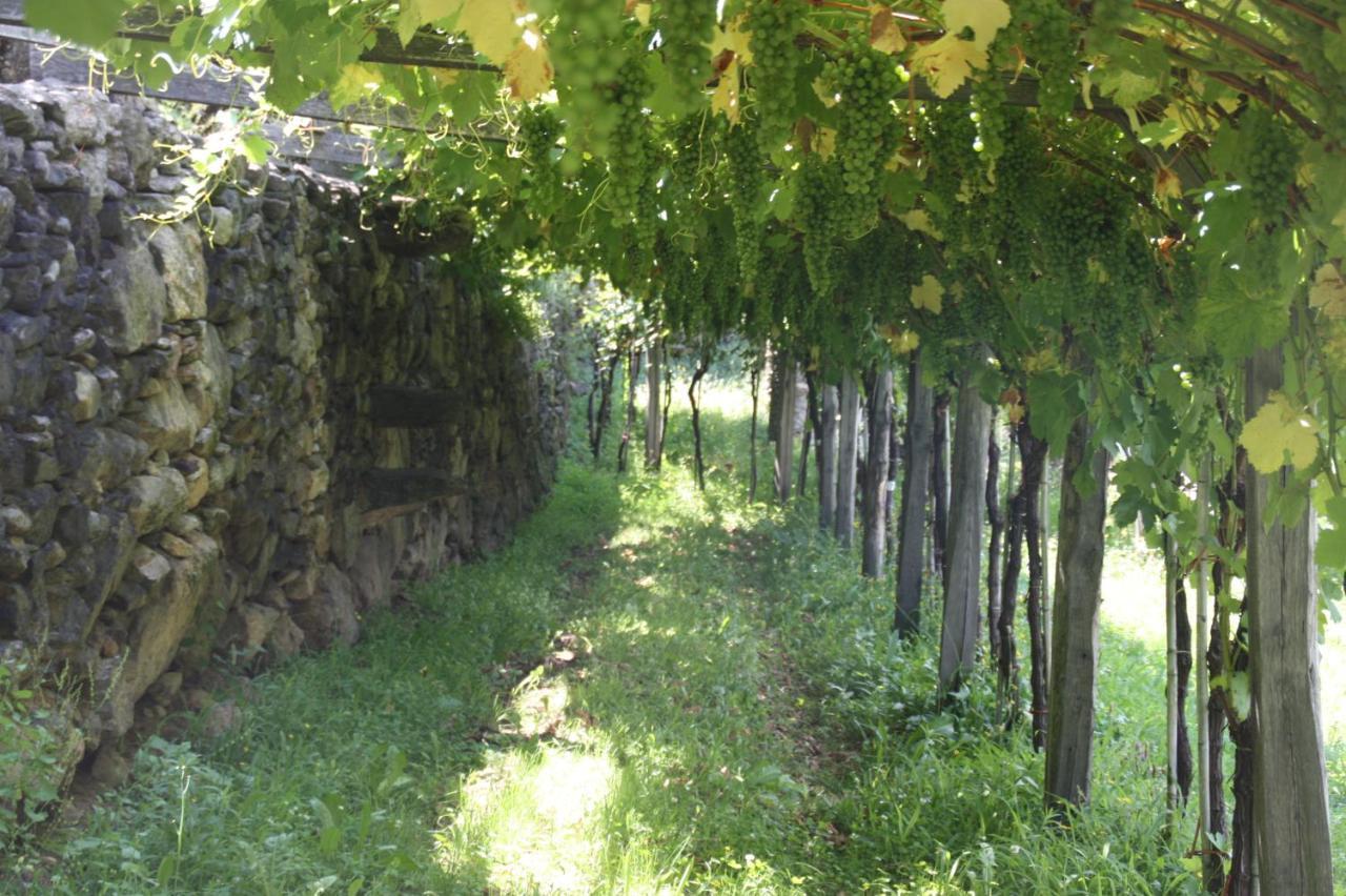 Settimo Vittone Relais Del Brigante B&B 외부 사진