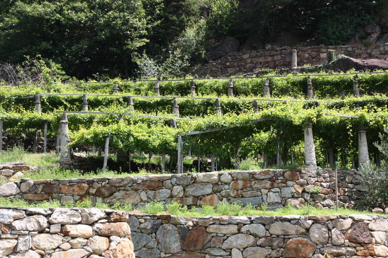 Settimo Vittone Relais Del Brigante B&B 외부 사진